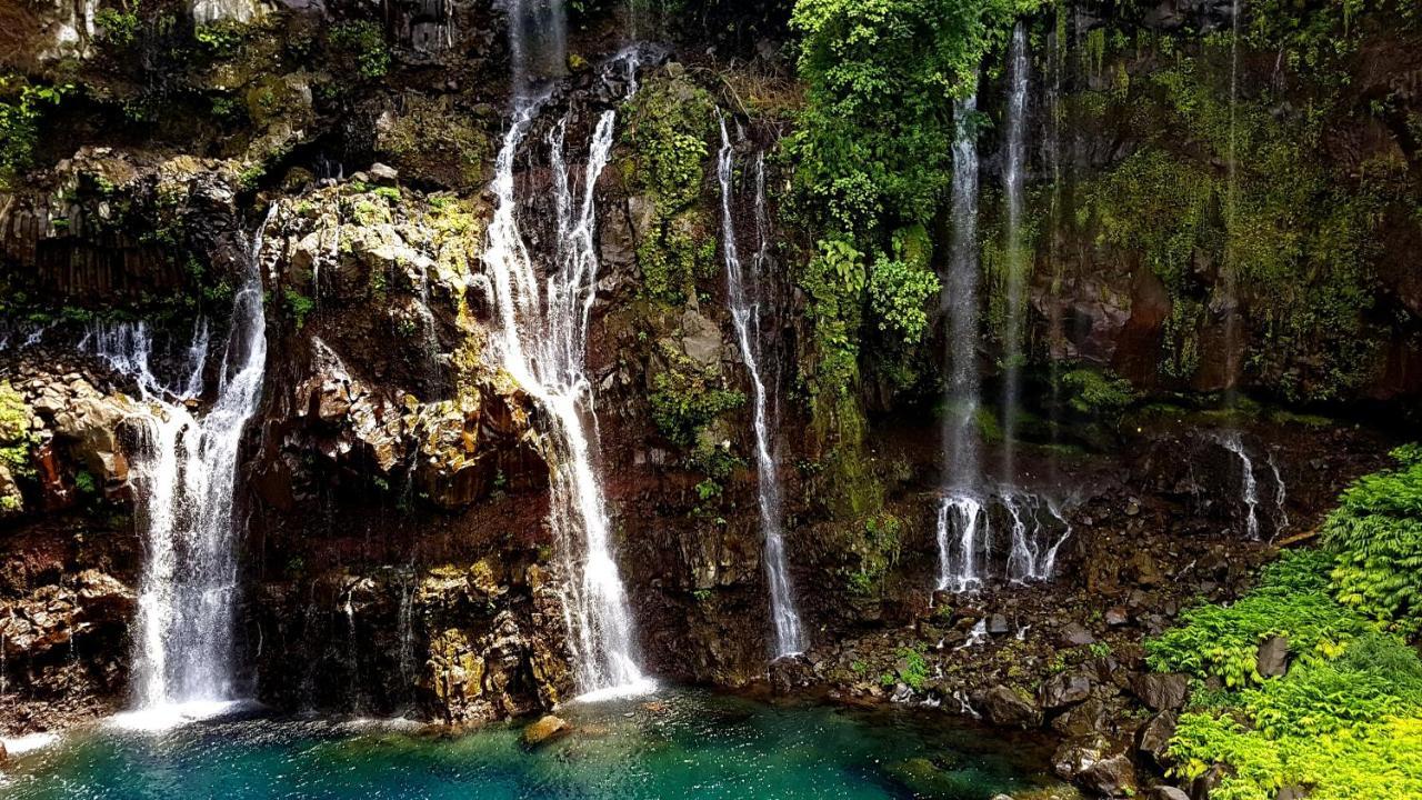 Le Gecko Vert Manapany-les Bains Екстер'єр фото